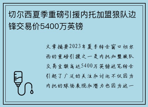 切尔西夏季重磅引援内托加盟狼队边锋交易价5400万英镑